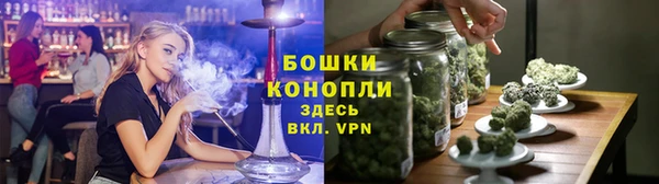 дмт Магас
