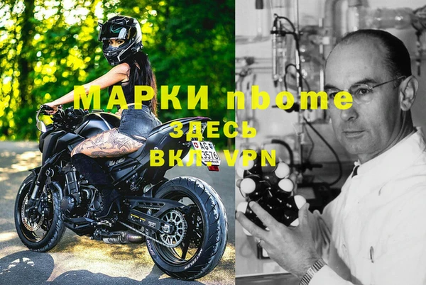 дмт Магас