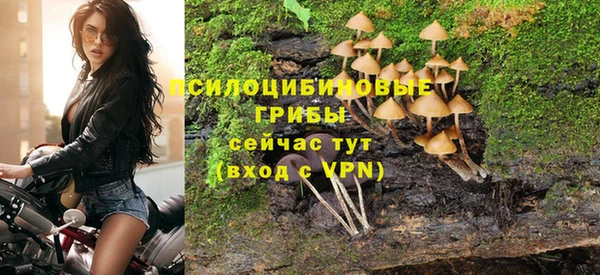 гидропоника Алапаевск