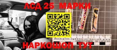 2c-b Камышлов