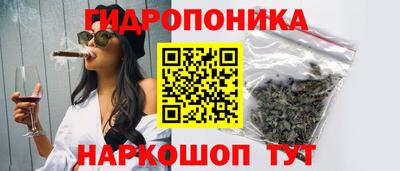 2c-b Камышлов