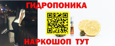 2c-b Камышлов
