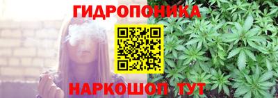 2c-b Камышлов