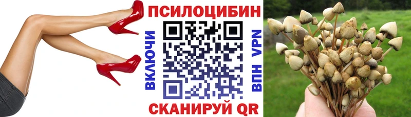 МЕГА зеркало Холмск Галлюциногенные грибы прущие грибы