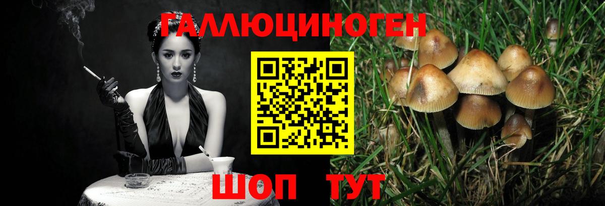 Псилоцибиновые грибы прущие грибы Холмск